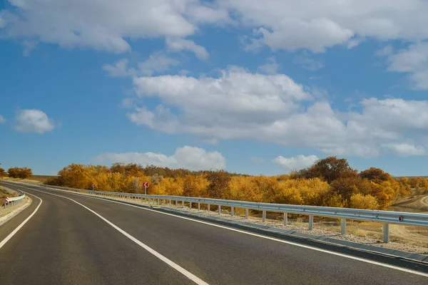 Belle Vue Sur Route Asphaltée Vide Road Trip — Photo