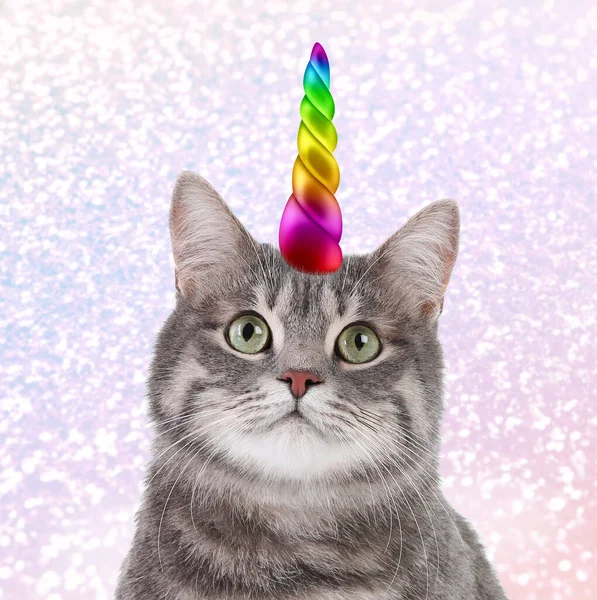 Niedliche Katze Mit Regenbogen Einhorn Horn Auf Verschwommenem Funkelnden Hintergrund — Stockfoto