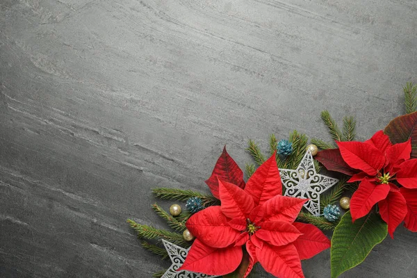 Composizione Flat Lay Con Bellissime Poinsettia Sfondo Grigio Spazio Testo — Foto Stock