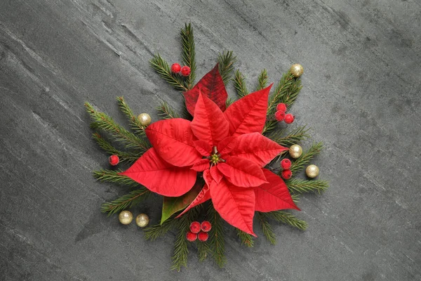 Composición Plana Con Hermosos Poinsettia Sobre Fondo Gris Navidad Flor — Foto de Stock