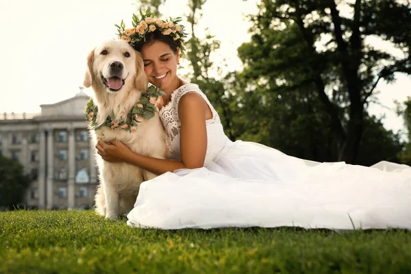 Panna Młoda Uroczy Golden Retriever Noszący Wieniec Pięknych Kwiatów Zielonej — Zdjęcie stockowe