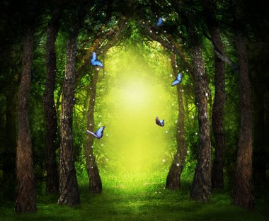 Hayal dünyası. Büyülü ormanlar, sihirli ışıklar, güzel kelebekler ve ağaçların arasında