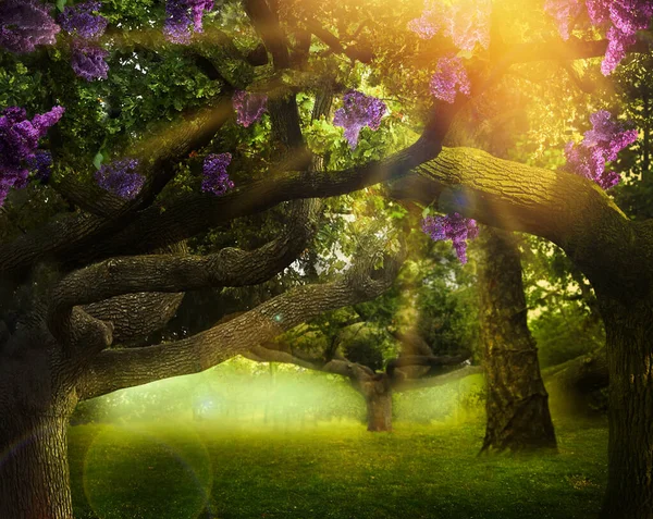 Fantasiewereld Bomen Met Bloeiende Magische Bloemen Betoverd Bos Zonnige Dag — Stockfoto