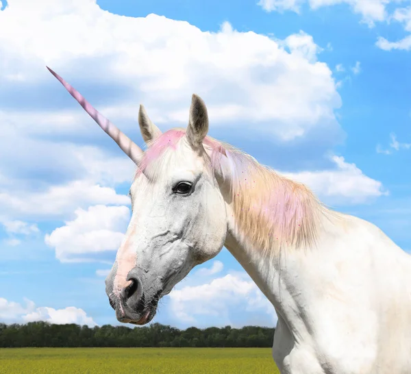 Tolles Einhorn Mit Schöner Mähne Feld Sonnigem Tag — Stockfoto