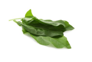 Beyaz arkaplanda taze yeşil kuş yaprakları var.