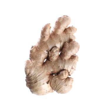 Taze zencefil kökü beyaza izole edilmiş.