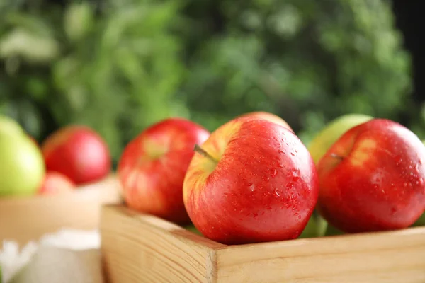 Pommes Fraîches Mûres Dans Une Caisse Bois Sur Fond Flou — Photo