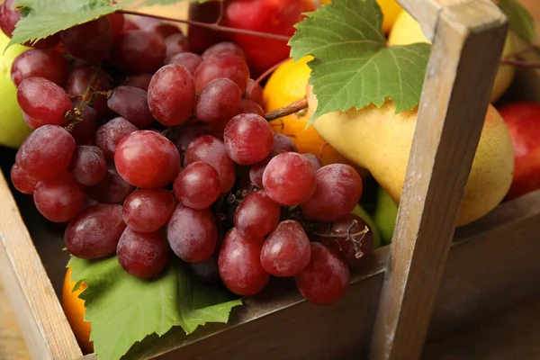 Διαφορετικά Φρέσκα Φρούτα Καφάσι Προβολή Closeup — Φωτογραφία Αρχείου