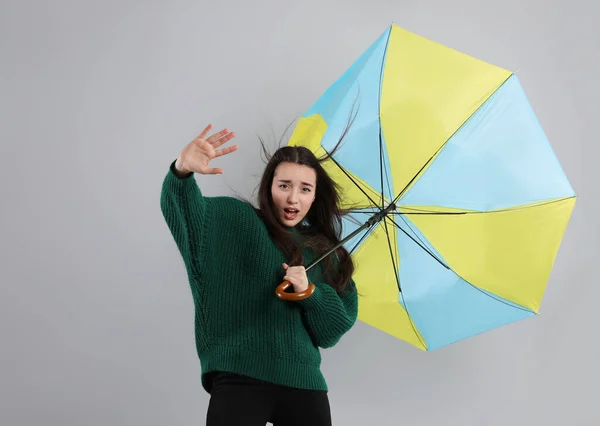 Emocionální Žena Deštníkem Chycený Poryvu Větru Šedém Pozadí — Stock fotografie