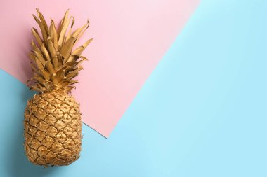 Renkli arka planda altın ananas, metin için yeri olan üst görünüm. Yaratıcı kavram