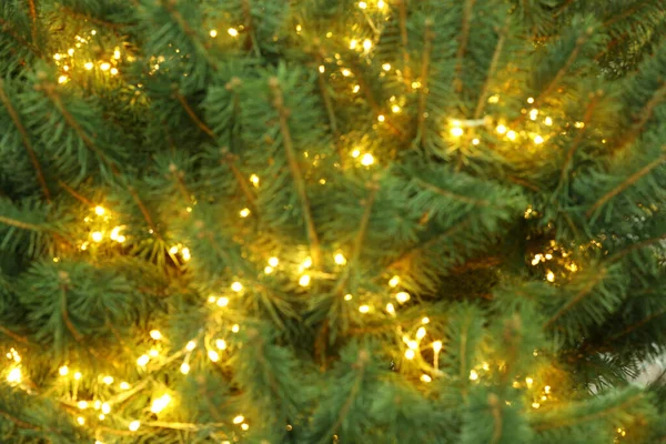 Vista Turva Luzes Brilhantes Fadas Brilhando Árvore Natal — Fotografia de Stock