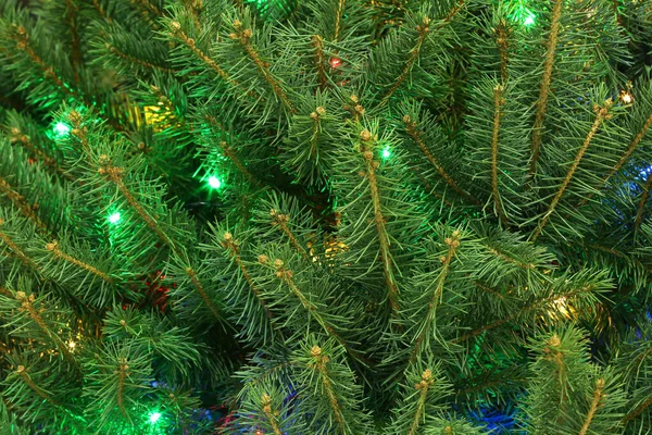 Leuchtende Lichter Weihnachtsbaum — Stockfoto