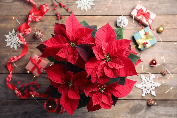 Poinsettia Traditional Christmas Flower Holiday Items Wooden Table Flat Lay — Stock Photo, Image