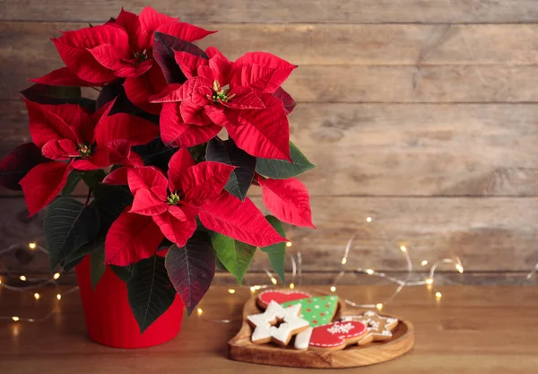 Poinsettia Fiore Tradizionale Natale Biscotti Luci Spago Tavolo Legno Spazio — Foto Stock