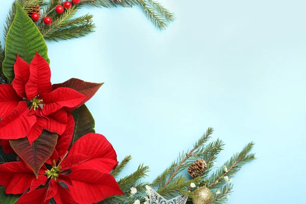 Composição Leigos Planos Com Bela Poinsettia Fundo Ciano Claro Espaço — Fotografia de Stock