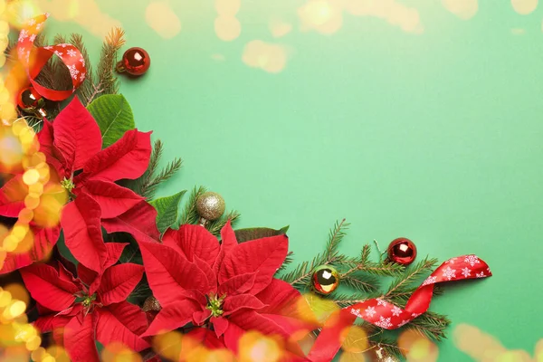Composizione Flat Lay Con Tradizionali Fiori Natale Poinsettia Spazio Testo — Foto Stock