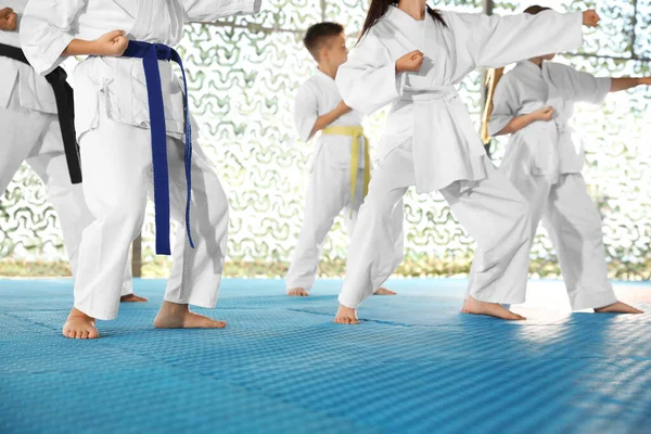 Niños Kimono Practicando Karate Tatami Aire Libre Primer Plano —  Fotos de Stock