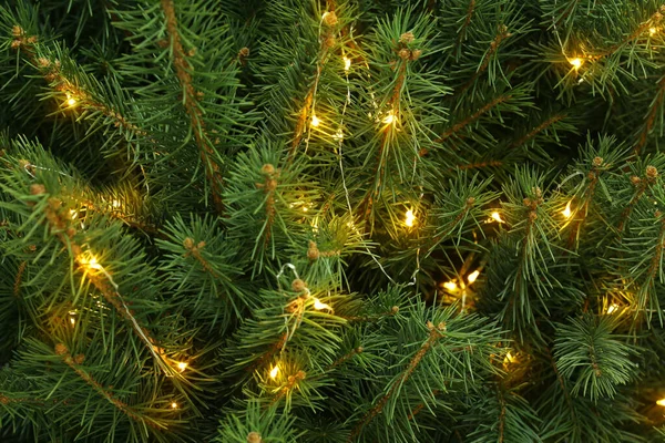 Lumières Fées Lumineuses Sur Arbre Noël — Photo