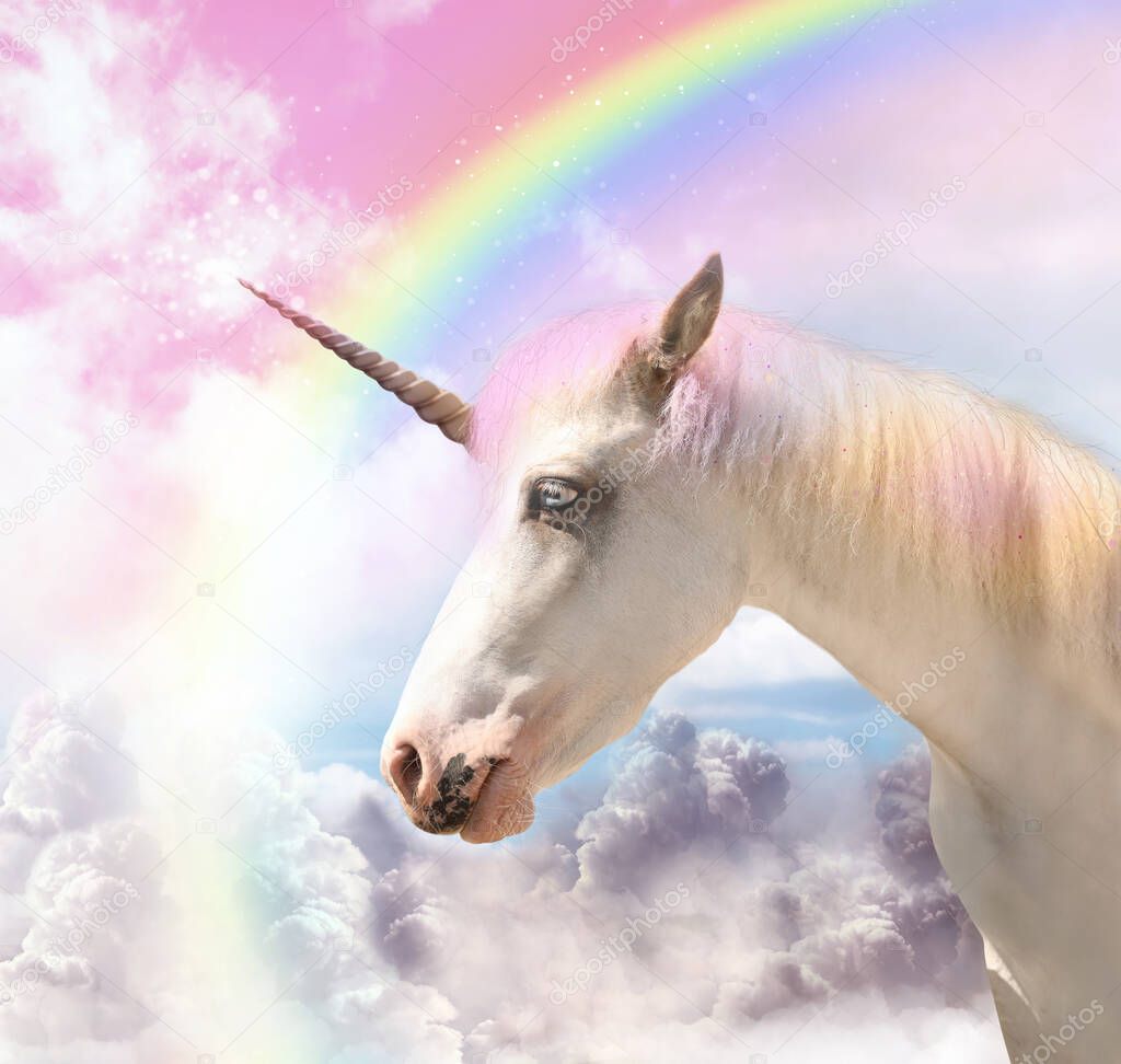 Magic unicorn in beautiful sky with rainbow and fluffy clouds. Fantasy world