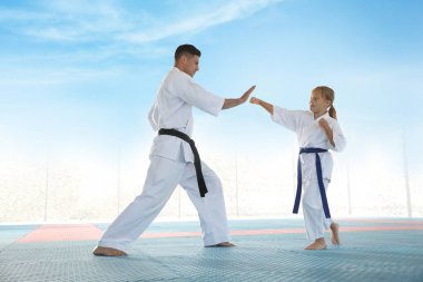 Tatami 'de koçla karate yapan bir kız.