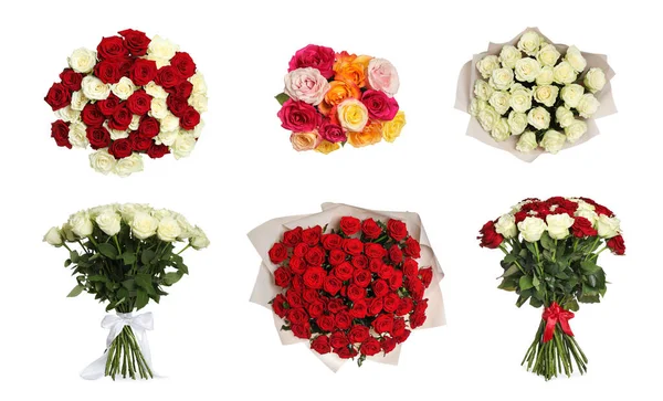 Ensemble Beaux Bouquets Roses Sur Fond Blanc — Photo