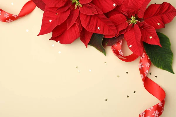 Płaska Kompozycja Świecka Poinsettias Tradycyjne Kwiaty Bożego Narodzenia Wstążka Beżowym — Zdjęcie stockowe