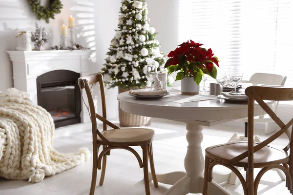 Flor Tradicional Navidad Poinsettia Mesa Con Ambiente Festivo Habitación —  Fotos de Stock