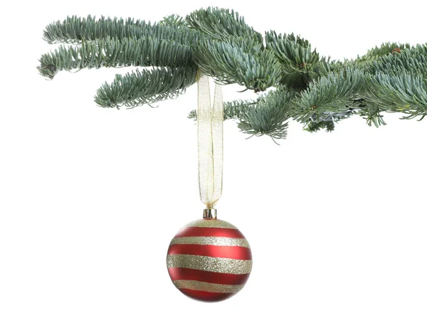 Beautiful Christmas Ball Hanging Fir Tree Branch White Background — Stock Photo, Image