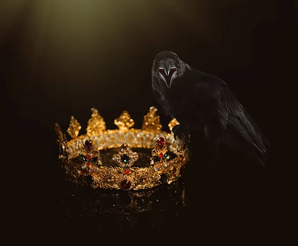 Mundo Fantasía Cuervo Negro Iluminado Por Luz Mágica Sentado Corona —  Fotos de Stock