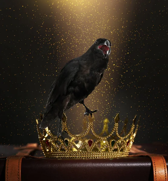 Fantasy world. Black crow lit by magic light sitting on golden crown