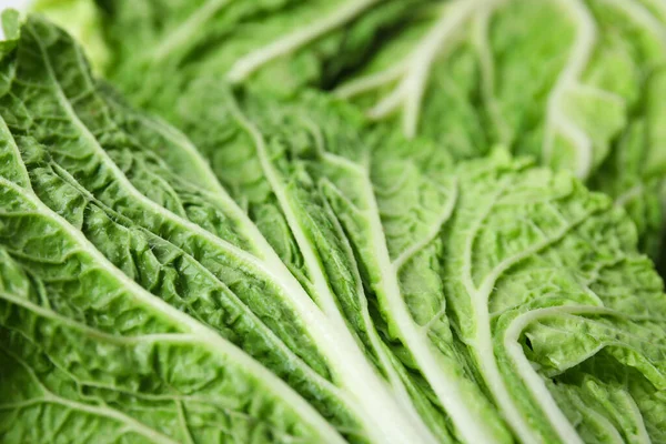 Fresh Ripe Chinese Cabbage Background Closeup — Stock Photo, Image