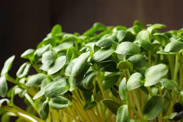 Bladeren Van Verse Biologische Microgroen Close Zicht — Stockfoto