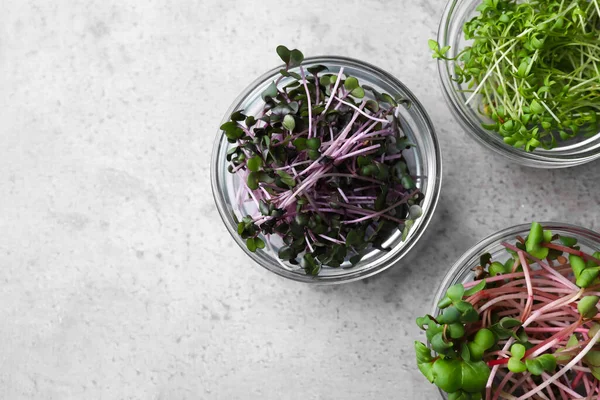 Verse Biologische Microgreens Kommen Grijze Tafel Plat Gelegd Ruimte Voor — Stockfoto