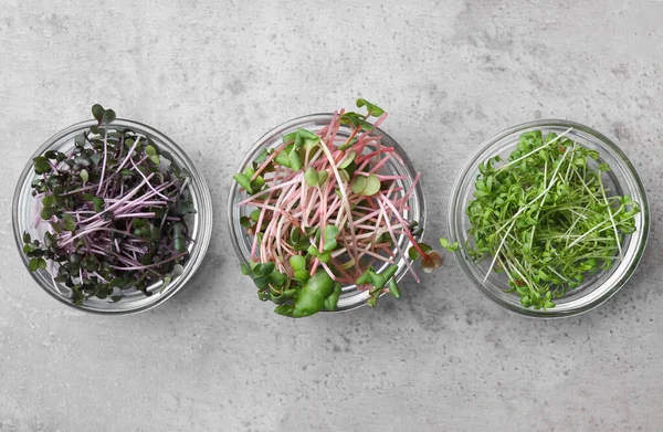 Verse Biologische Microgreens Kommen Grijze Tafel Plat Gelegd — Stockfoto