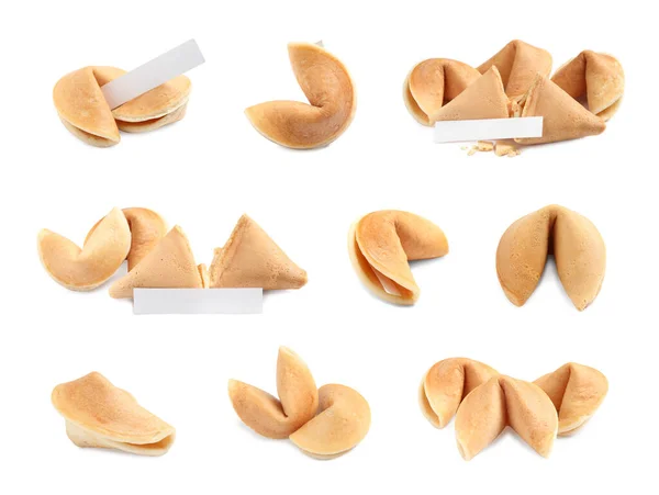 Set Fortune Cookies White Background — Stock Photo, Image