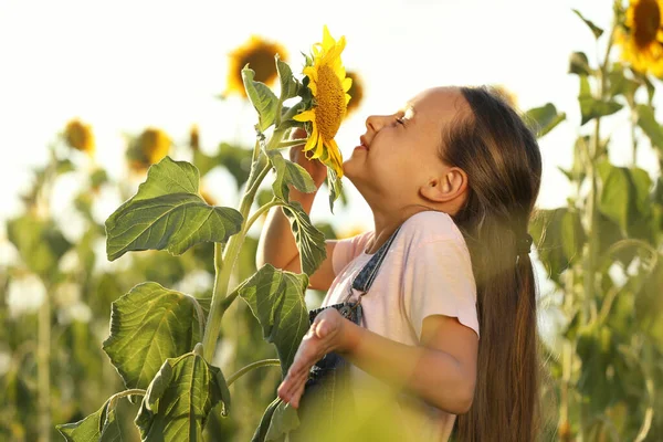 Χαριτωμένο Κοριτσάκι Που Μυρίζει Ηλιοτρόπιο Χρόνος Παραμονής Του Παιδιού Στη — Φωτογραφία Αρχείου