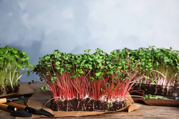 Verse Biologische Microgreens Tuingereedschap Houten Tafel — Stockfoto