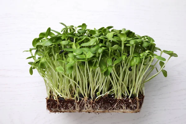 Fris Biologisch Microgroen Witte Tafel Bovenaanzicht — Stockfoto