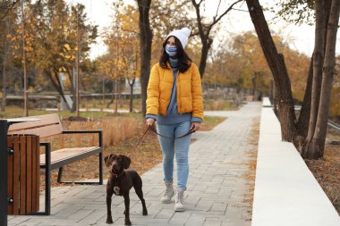 Alman Shorthair 'li koruyucu maskeli kadın parkta Pointer' ı yayınladı. COVID-19 salgını sırasında köpek gezdirme
