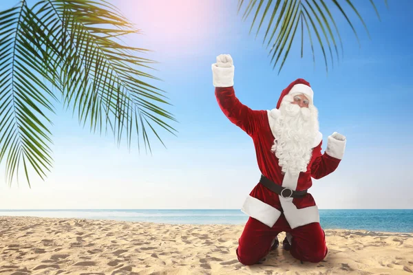 Gioioso Babbo Natale Piedi Ginocchio Sulla Spiaggia Sabbia Spazio Testo — Foto Stock