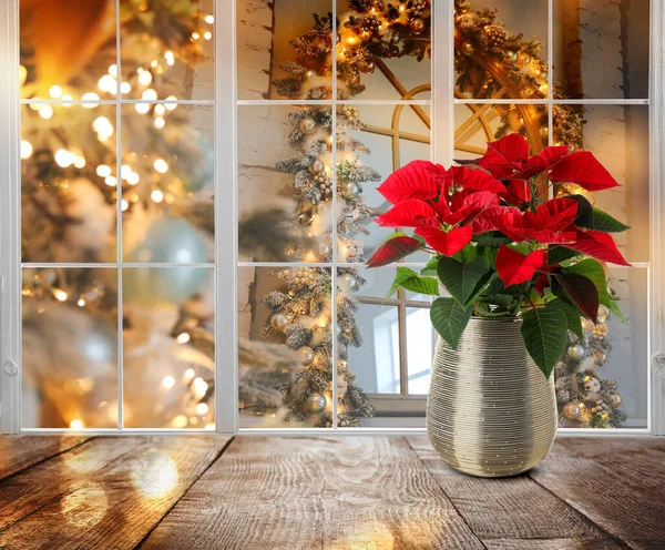 Boże Narodzenie Tradycyjny Kwiat Poinsettii Stole Pobliżu Okna Miejsce Tekst — Zdjęcie stockowe