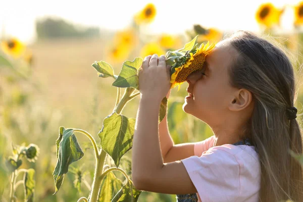 Dışarıda Ayçiçekleri Olan Sevimli Küçük Bir Kız Çocuk Doğada Vakit — Stok fotoğraf
