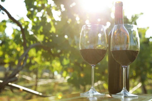 Bouteille Vin Verres Sur Table Dans Vignoble Espace Pour Texte — Photo