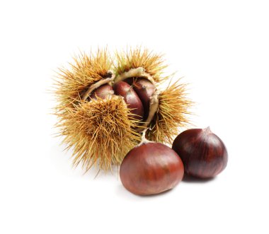 Fresh sweet edible chestnuts on white background clipart
