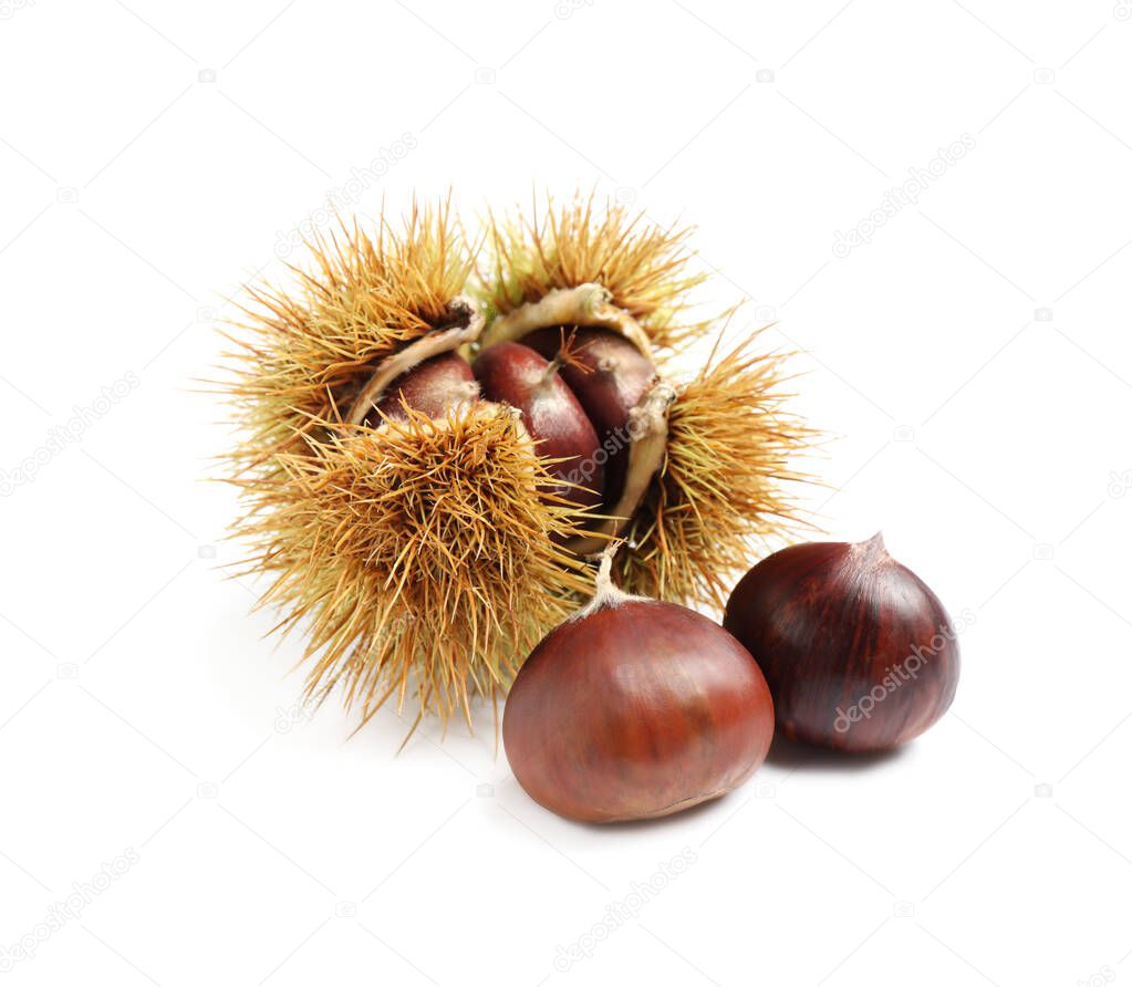 Fresh sweet edible chestnuts on white background