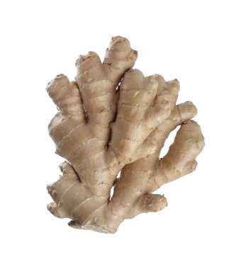 Taze zencefil kökü beyaza izole edilmiş.