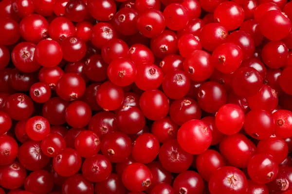Fresh Ripe Cranberries Background Closeup View — Stock Photo, Image