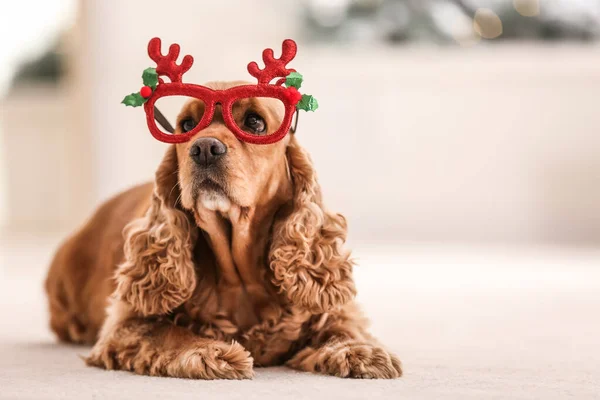 Adorable Cocker Spaniel Dog Party Glasses Blurred Background Space Text — Stock Photo, Image
