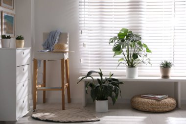 Evdeki pencere pervazında güzel saksılar var.