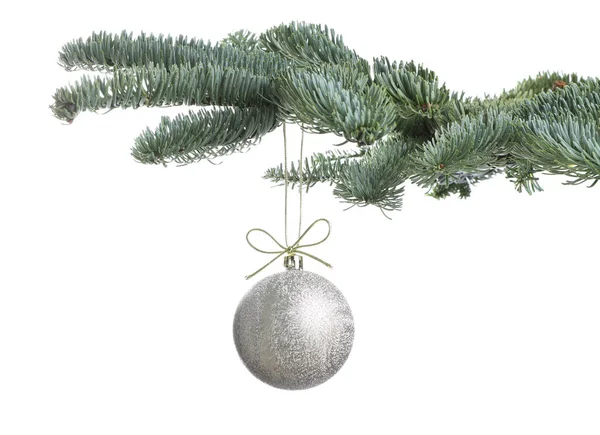 白色背景下挂在枞树枝头上的漂亮圣诞球 — 图库照片